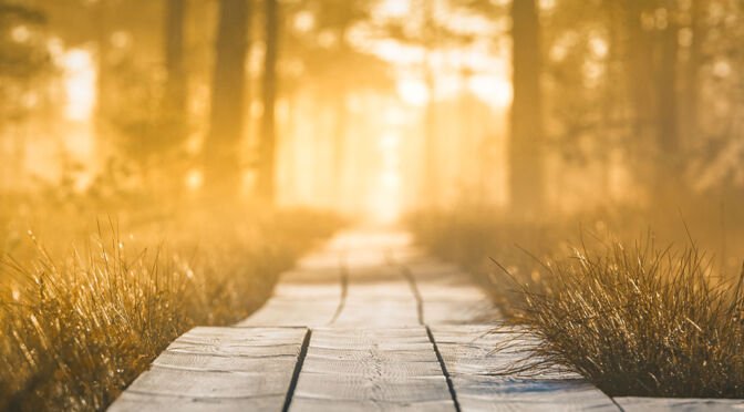 THE PRACTICE OF HIS PRESENCE Part 6